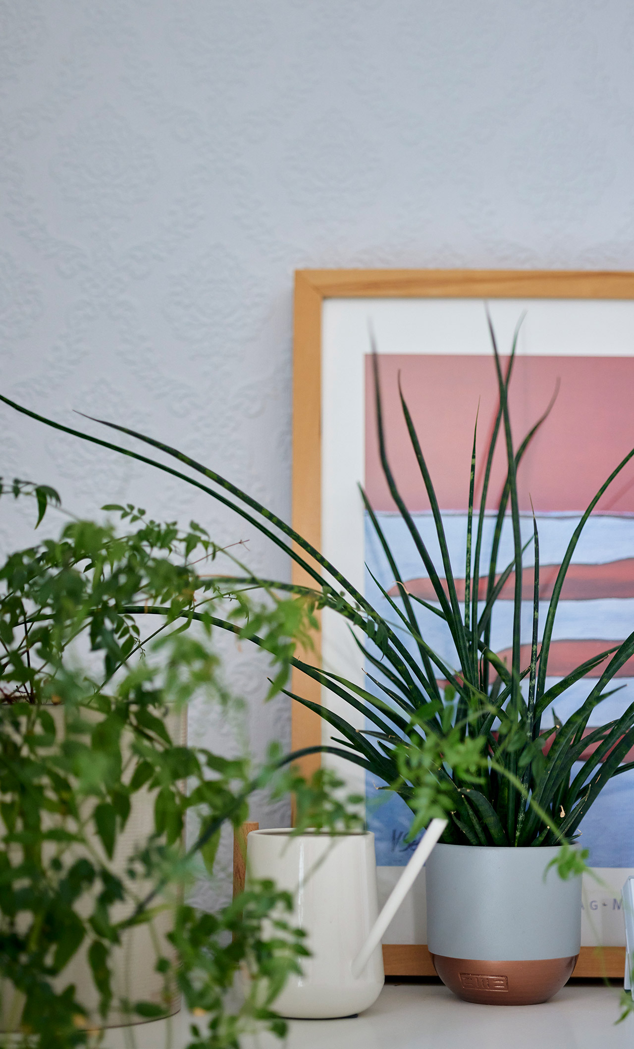Plants in pots and framed colourful picture