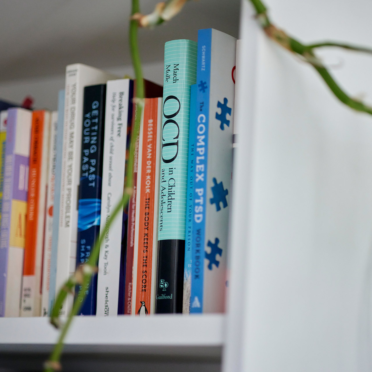 Specialist books on shelf